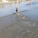 Illustration for article titled More Beach Toby and Parsh Spotting
